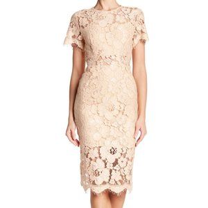 NWOT NSR Beige Lace Short Sleeve Sheath Midi Dress